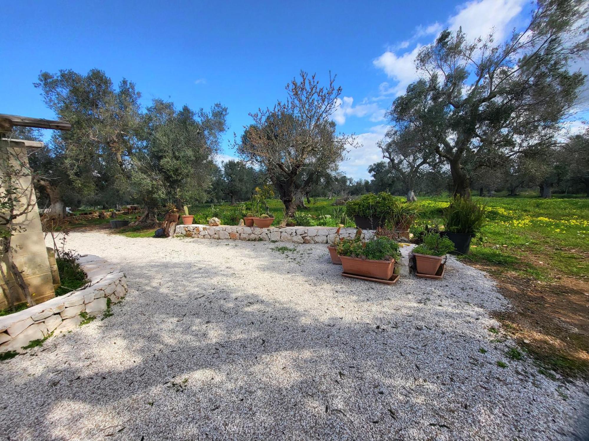 Trullo Incantevole Ostuni Exteriör bild